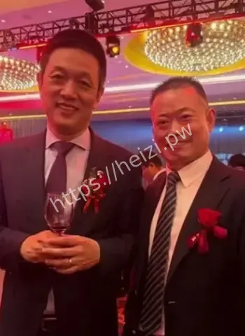 王传福个人投资长鑫