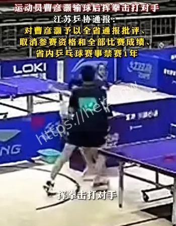 乒乓小将失利